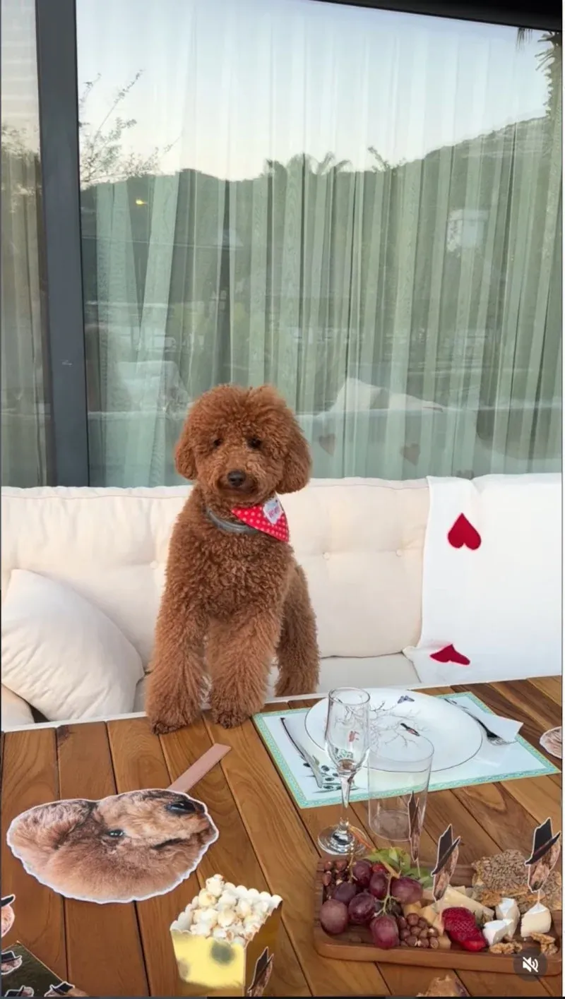 Nesrin Cavadzade, Patili Dostu Dolce'nin Yaş Günü Coşkusunu Paylaştı