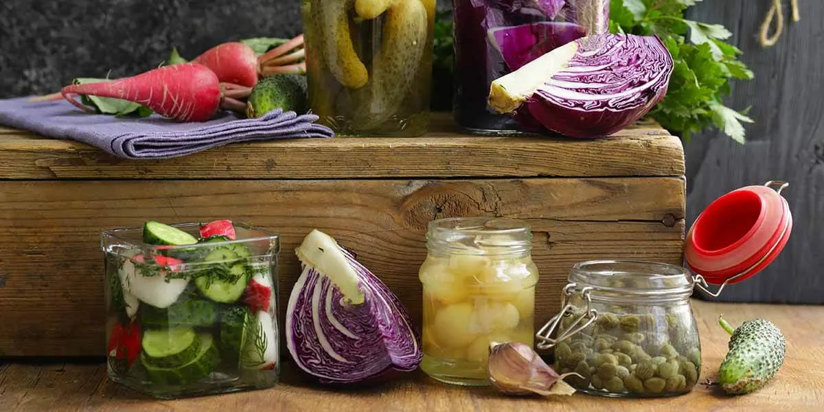 Probiyotikler Nedir? Bağırsak Sağlığından Ötesi: Faydaları ve Kullanımı